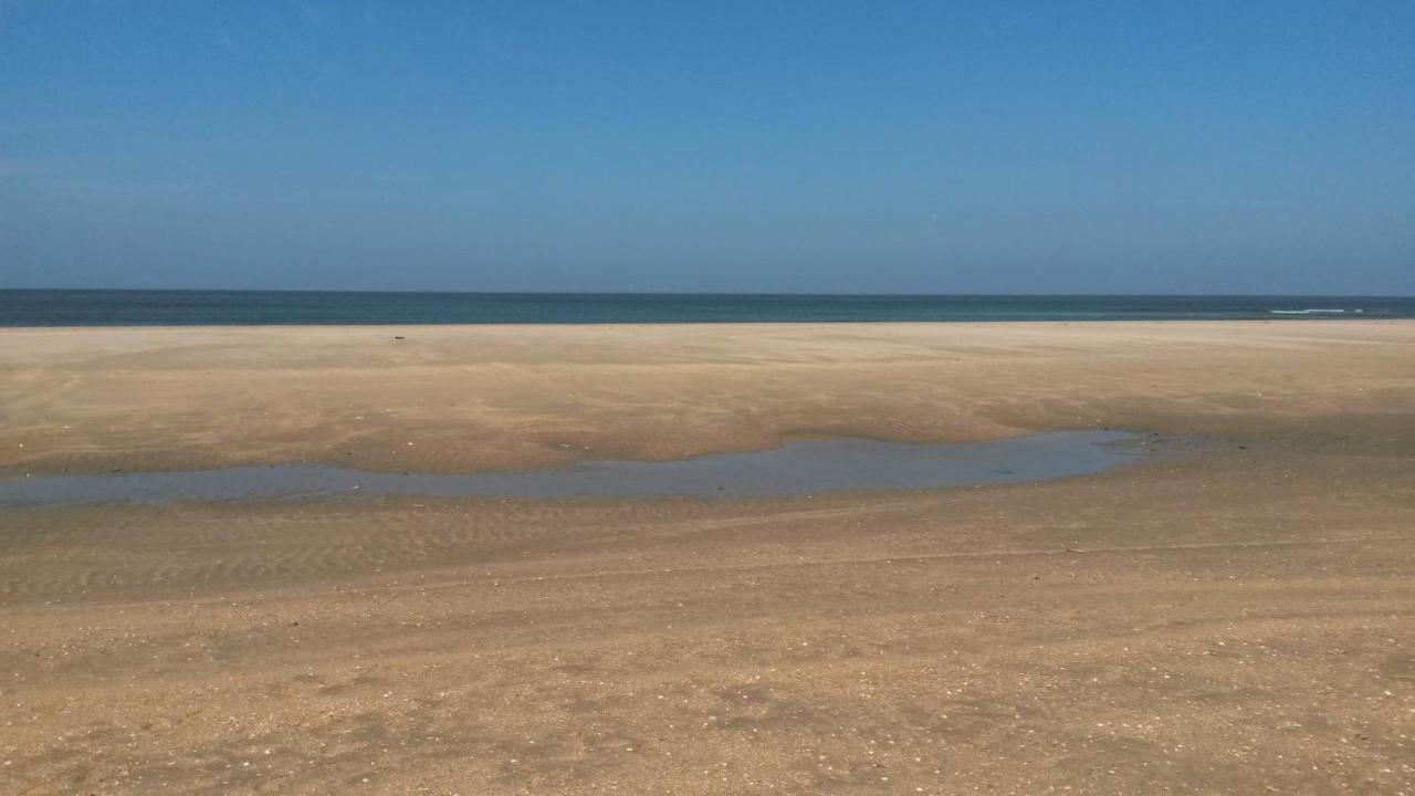 Vitamin Sea Heemskerk Εξωτερικό φωτογραφία